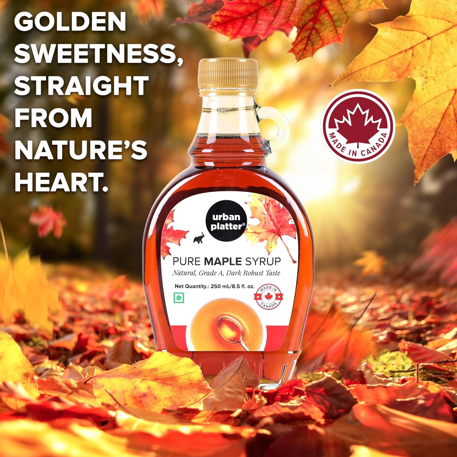 Urban Platter Pure Canadian Maple Syrup - 250 ml