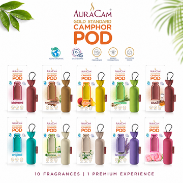 Auracam Gold Camphor POD